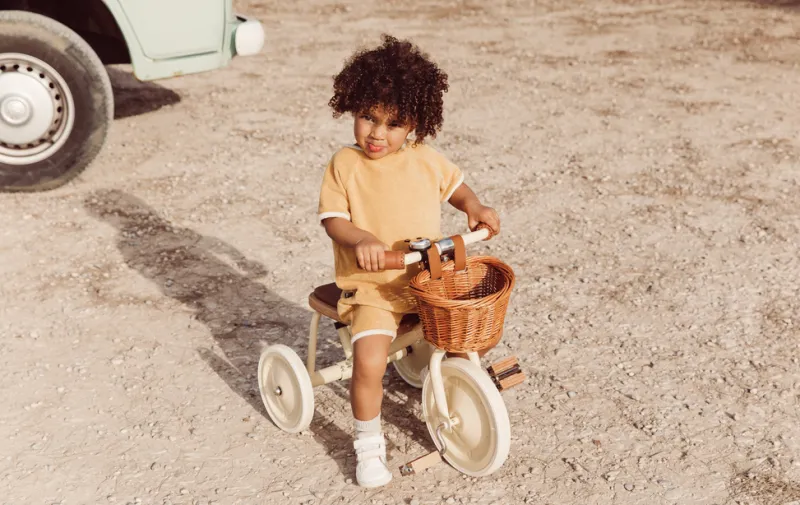 Toddler Trike>Banwood Sale