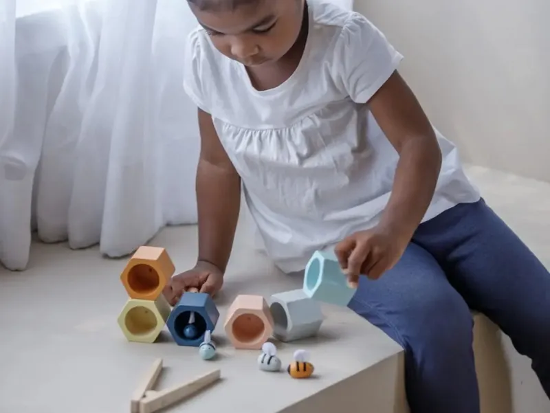 Beehive Sorting Set>Plan Toys Best