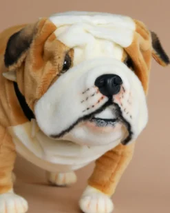 British Bulldog Stuffed Animal></noscript>Hansa Discount