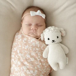 Baby Lamb><noscript><img width=