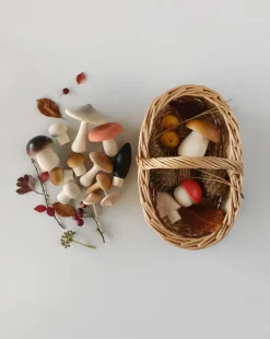 Forest Mushrooms Basket ->Moon Picnic Clearance