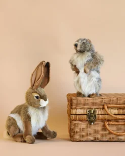 Groundhog Baby Stuffed Animal><noscript><img width=