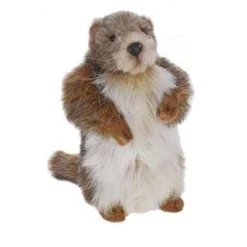 Groundhog Baby Stuffed Animal>Hansa Hot