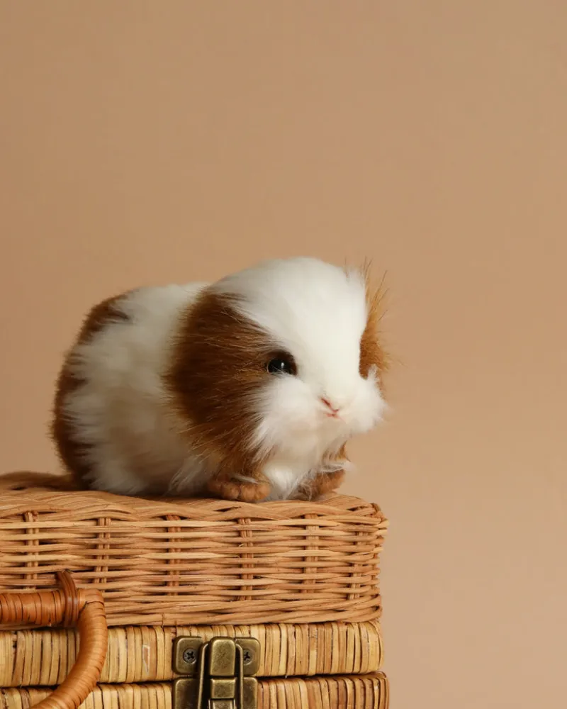 Guinea Pig Stuffed Animal>Hansa Hot