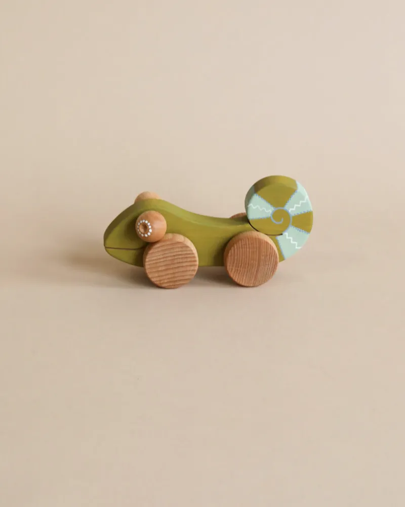 Handmade Chameleon Push Toy>Friendly toys Online