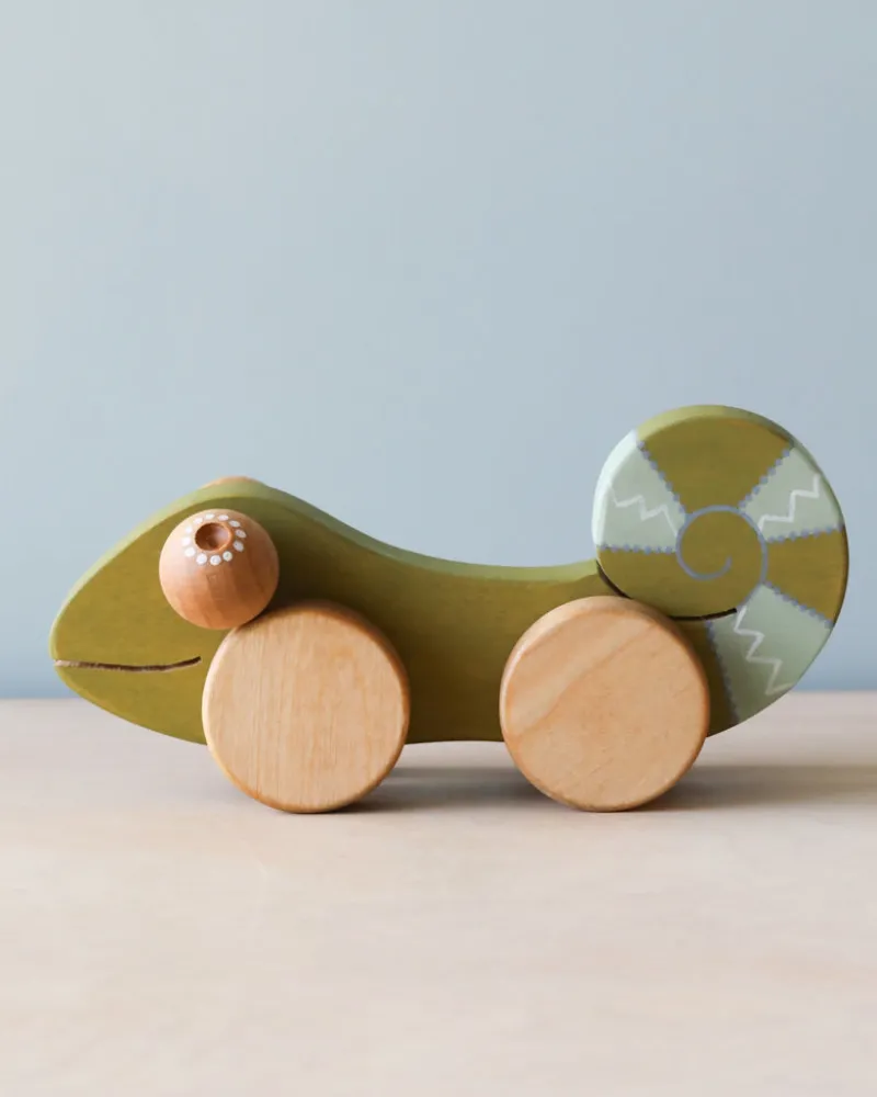 Handmade Chameleon Push Toy>Friendly toys Online