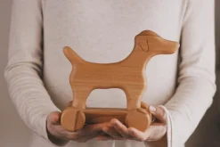 Handmade Wooden Dog Pull Toy></noscript>Tateplota Best