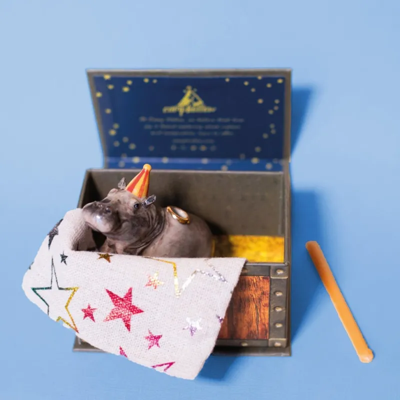 Hippo Cake Topper>Camp Hollow Fashion