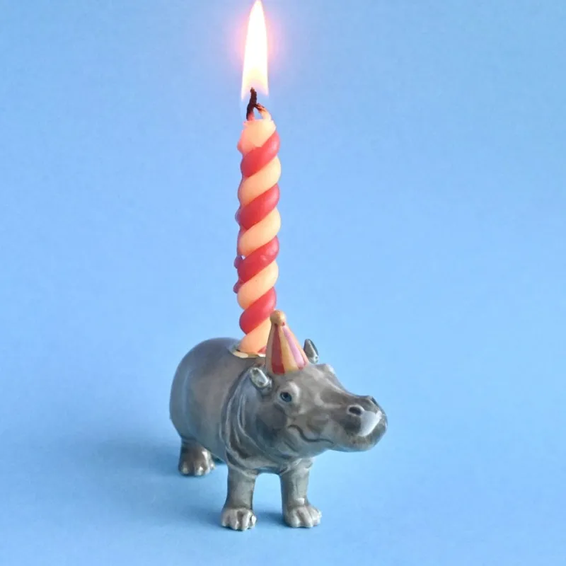 Hippo Cake Topper>Camp Hollow Fashion