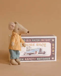 | Mouse in a box - Big Brother>Maileg Hot