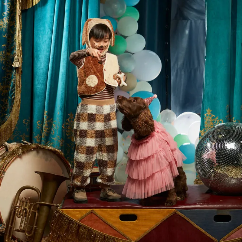 Puppy Costume - Final Sale>Meri Meri Fashion