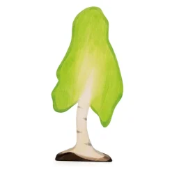 Birch Tree, Large>Ostheimer New