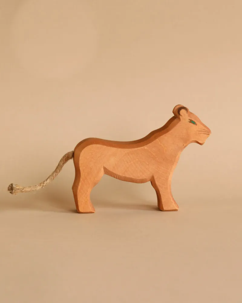 Female Lion>Ostheimer Best