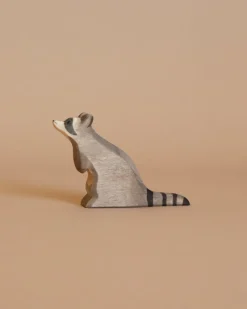 Raccoon - Sitting>Ostheimer New