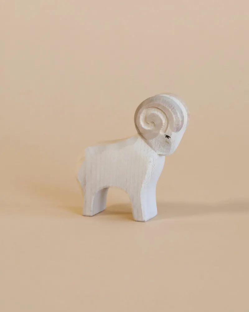 Ram>Ostheimer Fashion