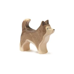 Sled Dog - Standing>Ostheimer Best