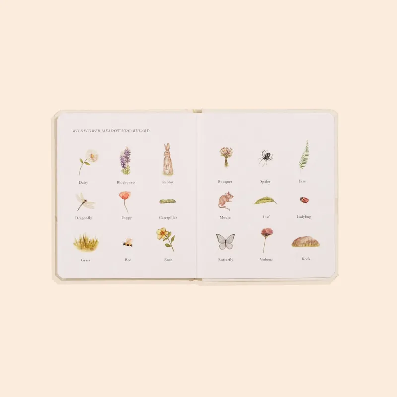 Our Little Adventures Book Box Set>Paige Tate & Co. Hot