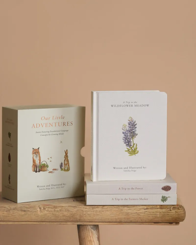 Our Little Adventures Book Box Set>Paige Tate & Co. Hot