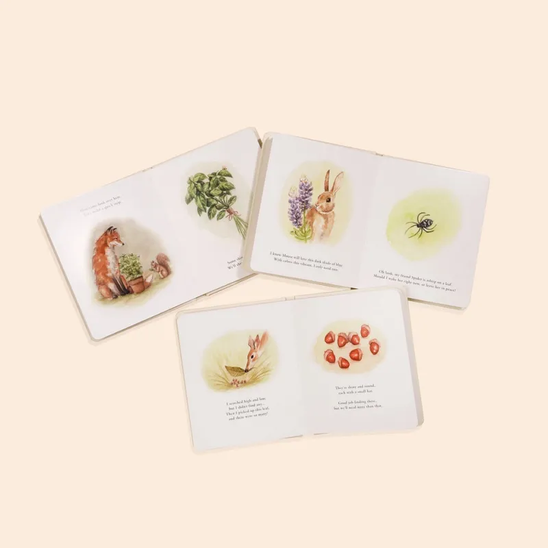 Our Little Adventures Book Box Set>Paige Tate & Co. Hot