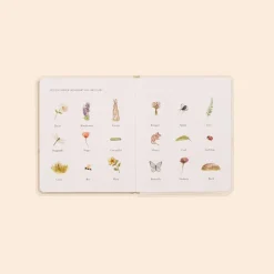 Our Little Adventures Book Box Set><noscript><img width=