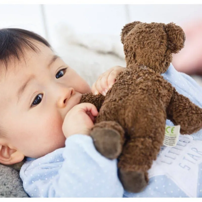 Stuffed Animal - Brown Bear>Senger Naturwelt Fashion