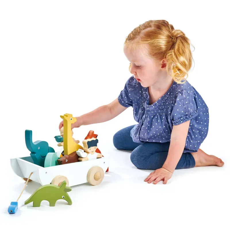 The Friend Ship Pull Toy>Tender Leaf Toys Online