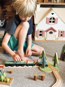 Wild Pines Train Set></noscript>Tender Leaf Toys Best
